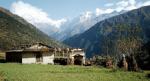 Thare-80.jpg