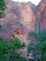 Zion_Riverside_trail.jpg