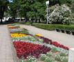 DSC07184.JPG