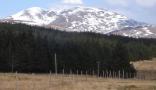 DSC04484.JPG