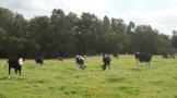 DSCN4107.JPG