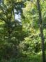 DSCN0108.JPG