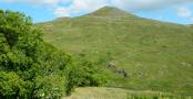 DSCN3360.JPG