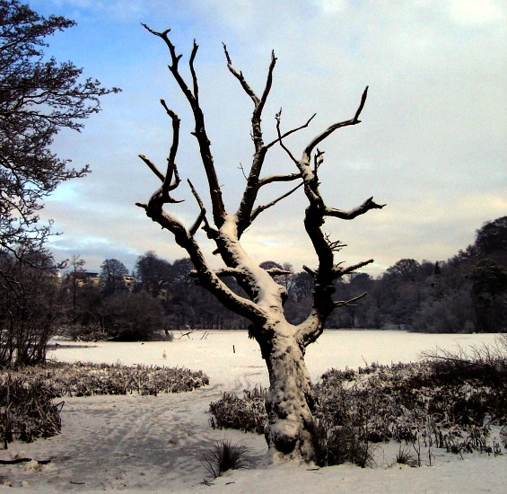 Winter snow scene at Kilmardinny Loch in Bearsden