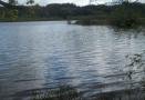 DSCN5467.JPG