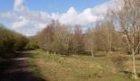 DSCN5433.JPG
