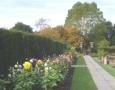 DSC05579.JPG