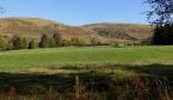 DSCN6110.JPG