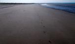DSCN2498.JPG