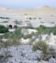 Death_valley_dunes_2.jpg